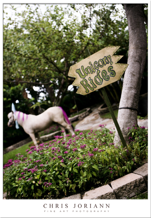 unicorn